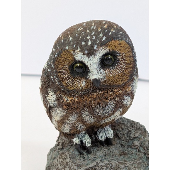Vintage Bronze Wildlife Collection Saw Whet Owl Charles Earnhardt Made USA - Picture 2 of 7